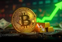 Gold Hits $3,700 Record High, Bitcoin Could Follow