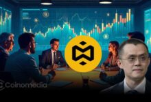 Binance Founder’s YZi Labs May Open to Public Investors