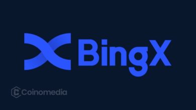 AI-powered crypto trading strategist by BingX called AI Master