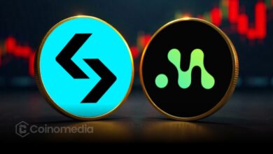 Bitget BGB Burn strategic partnership with Morph reducing supply to 100M