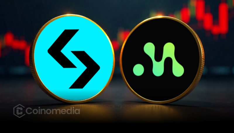 Bitget BGB Burn strategic partnership with Morph reducing supply to 100M