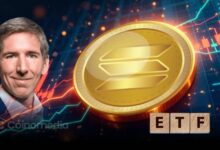 Bitwise CIO sees Solana breakout with ETF and treasury support