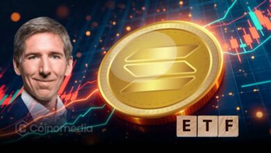 Bitwise CIO sees Solana breakout with ETF and treasury support
