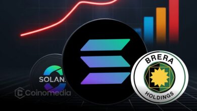 Solmate logo with Solana-themed treasury concept in UAE background