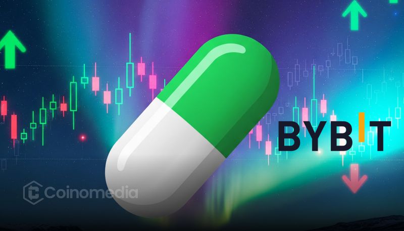 Crypto whale withdraws PUMP tokens from Bybit with massive unrealized profit