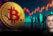 CZ Explains Why Crypto Dips Strengthen the Market