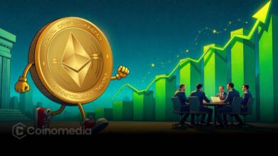 Ethereum ownership shift showing rise of contracts, exchanges, and funds.