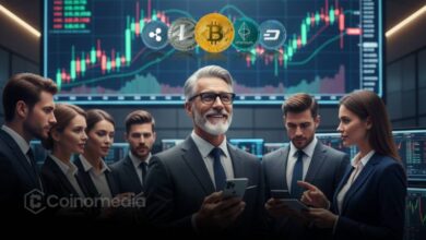 Chart showing Bitcoin surge after 2024 FED rate cut