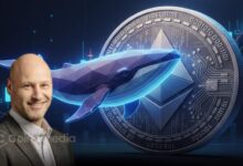 Jeffrey Wilcke Ethereum whale activity $6M Kraken transfer