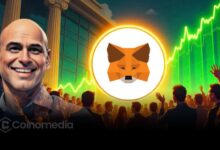 Joseph Lubin confirms early MetaMask token launch
