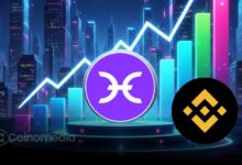 Blockchain data showing HOLO market maker swap for BNB to stabilize price.