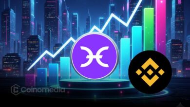 Blockchain data showing HOLO market maker swap for BNB to stabilize price.
