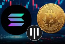Pantera Capital Bitcoin and Solana investment prediction