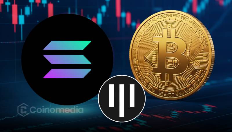 Pantera Capital Bitcoin and Solana investment prediction