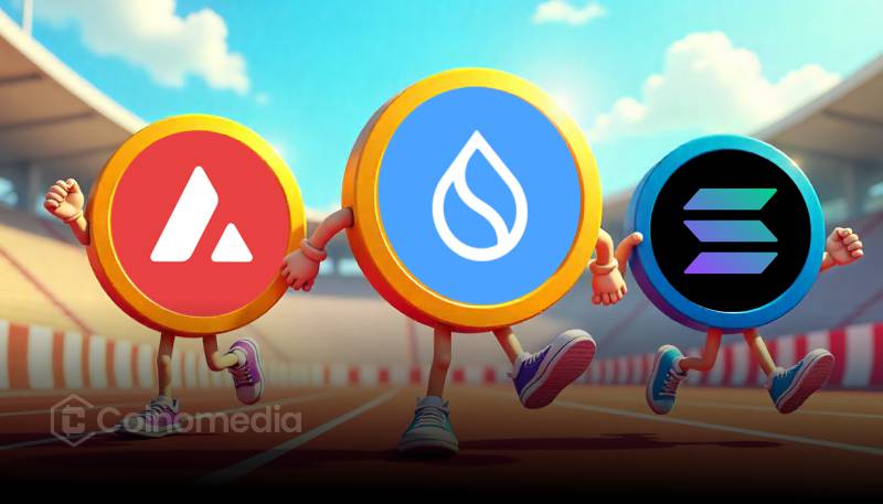SUI and AVAX surpass Solana in stablecoin supply shift