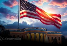 US government Bitcoin and Ethereum holdings illustration