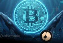 Whale 0xa523 Shorts Bitcoin Again After $435K ASTER Win