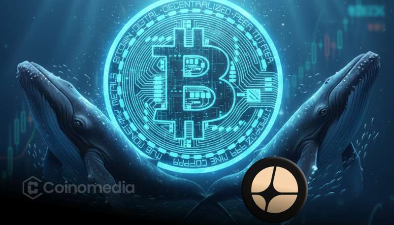 Whale 0xa523 Shorts Bitcoin Again After $435K ASTER Win