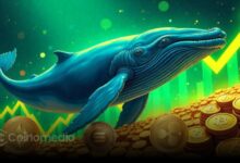 LINK whale profit after $21M token sale