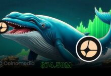 Whale Buys $74.58M in Aster, $10 Target Buzz Builds