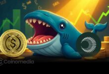 Whale XPL USDC accumulation with $71.5M purchase