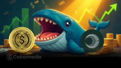 Whale XPL USDC accumulation with $71.5M purchase