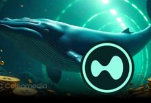 Whale activity increases as major wallets buy $HYPE on Hyperliquid