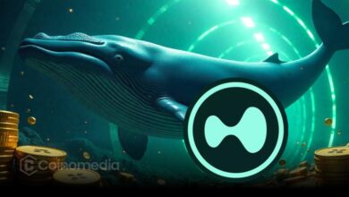 Whale activity increases as major wallets buy $HYPE on Hyperliquid