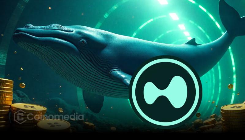 Whale activity increases as major wallets buy $HYPE on Hyperliquid