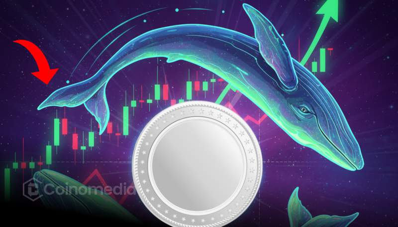 Graph showing whale activity impacting crypto project revenue via ARPU