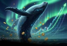 Whales accumulating crypto during Q4 Altseason ignition