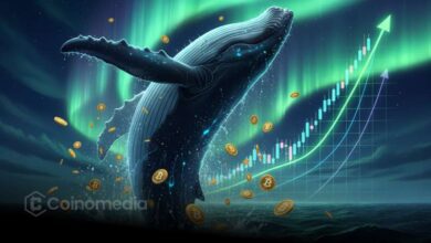 Whales accumulating crypto during Q4 Altseason ignition