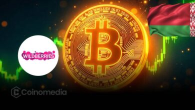 Wildberries launches Bitcoin payments in Belarus for crypto shopping