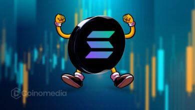 Solana price prediction chart showing support at $190