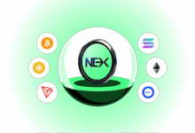 Best Crypto Presales 2025: Nexchain and Other Presale Coins to Watch