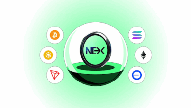 Best Crypto Presales 2025: Nexchain and Other Presale Coins to Watch
