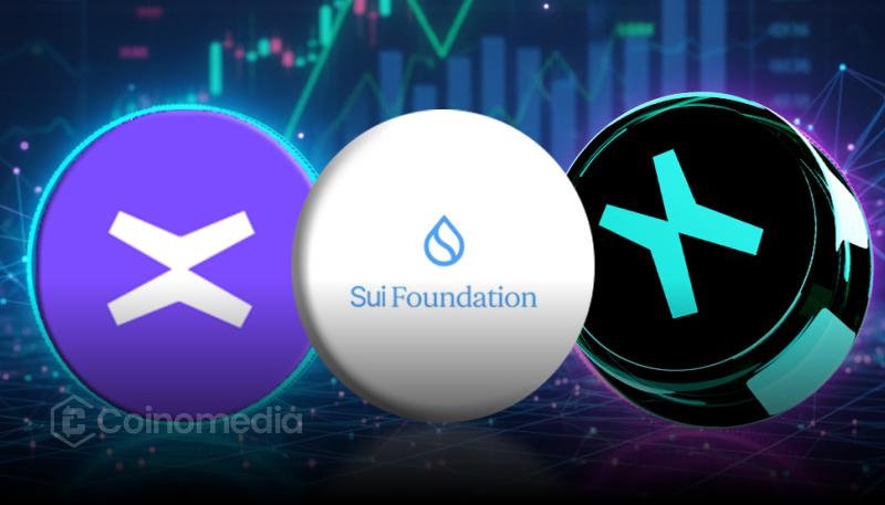 xMoney crypto payments funding by Sui Foundation and MultiversX