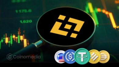Binance stablecoin inflow before CPI report