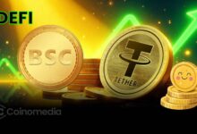 BSC USDT transactions chart surge due to DeFi and memecoins