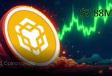 BSC blockchain fees chart showing 24-hour revenue comparison with Tron