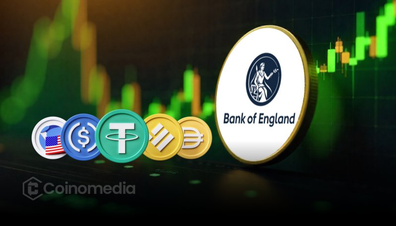 YZiLabs Builder Fund supports BNB Chain development