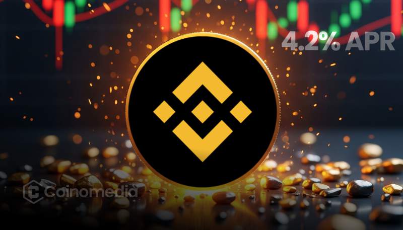 Binance Users Can Request Compensation: Yi He