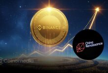China Renaissance BNB fund investment strategy with YZi Labs