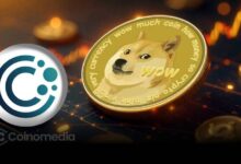 CleanCore DOGE holdings chart with SEC compliance steps