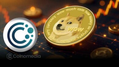 CleanCore DOGE holdings chart with SEC compliance steps