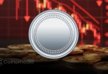 Crypto treasuries reduce Bitcoin buying after October crash