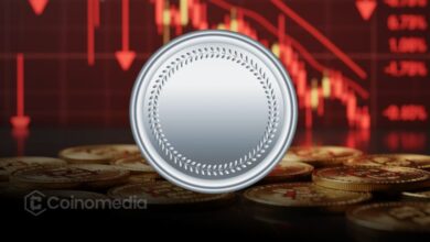 Crypto treasuries reduce Bitcoin buying after October crash
