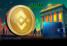 dormant BNB wallet withdraws $1.71M from Binance amid meme coin hype