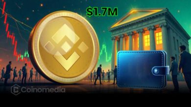 dormant BNB wallet withdraws $1.71M from Binance amid meme coin hype