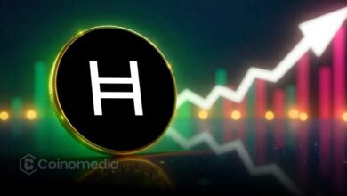 HBAR stablecoin market cap rises 84% in 7 days on Hedera network